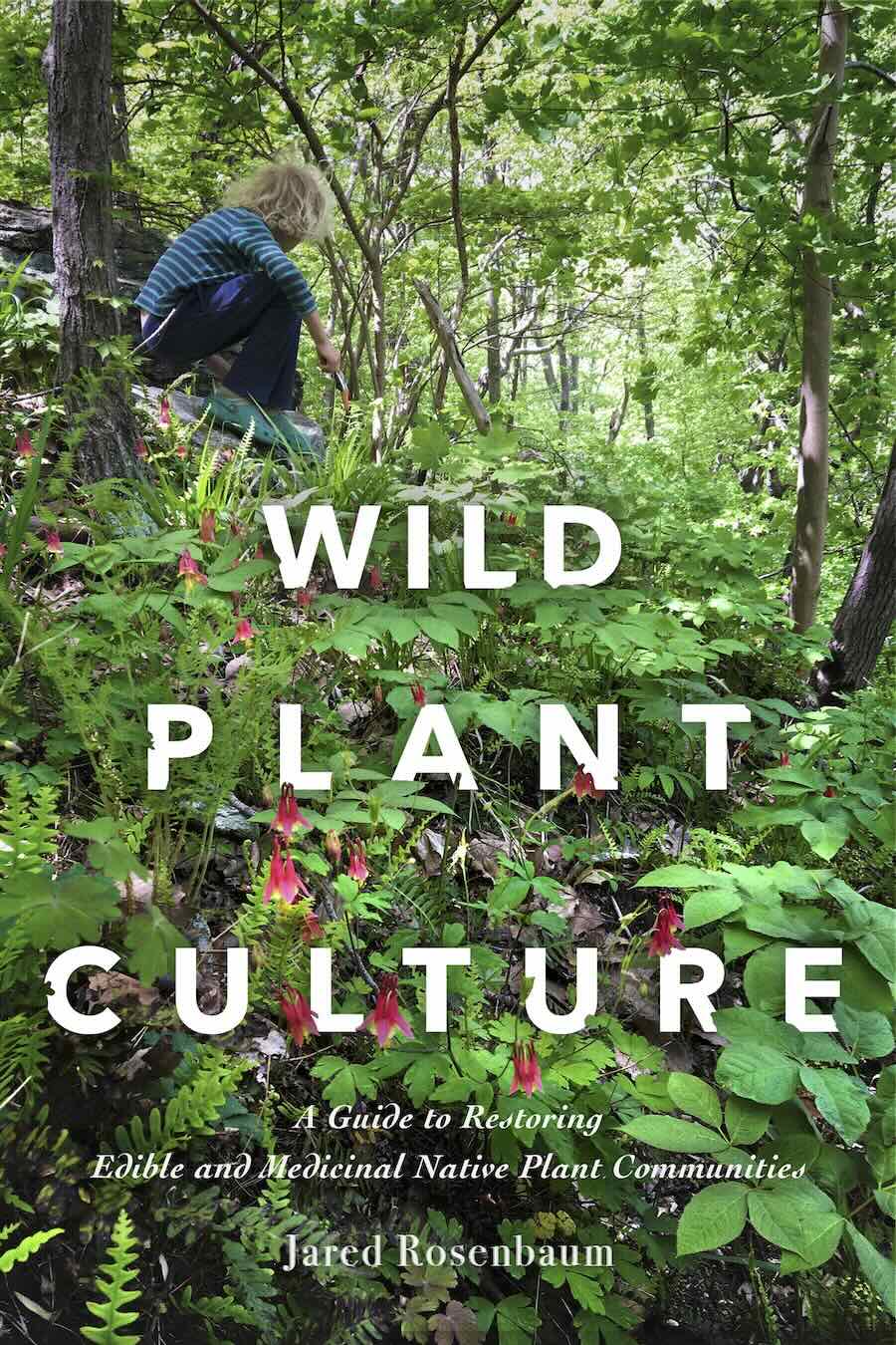 ‘wild plant tradition:’ edible and medicinal natives, with jared rosenbaum