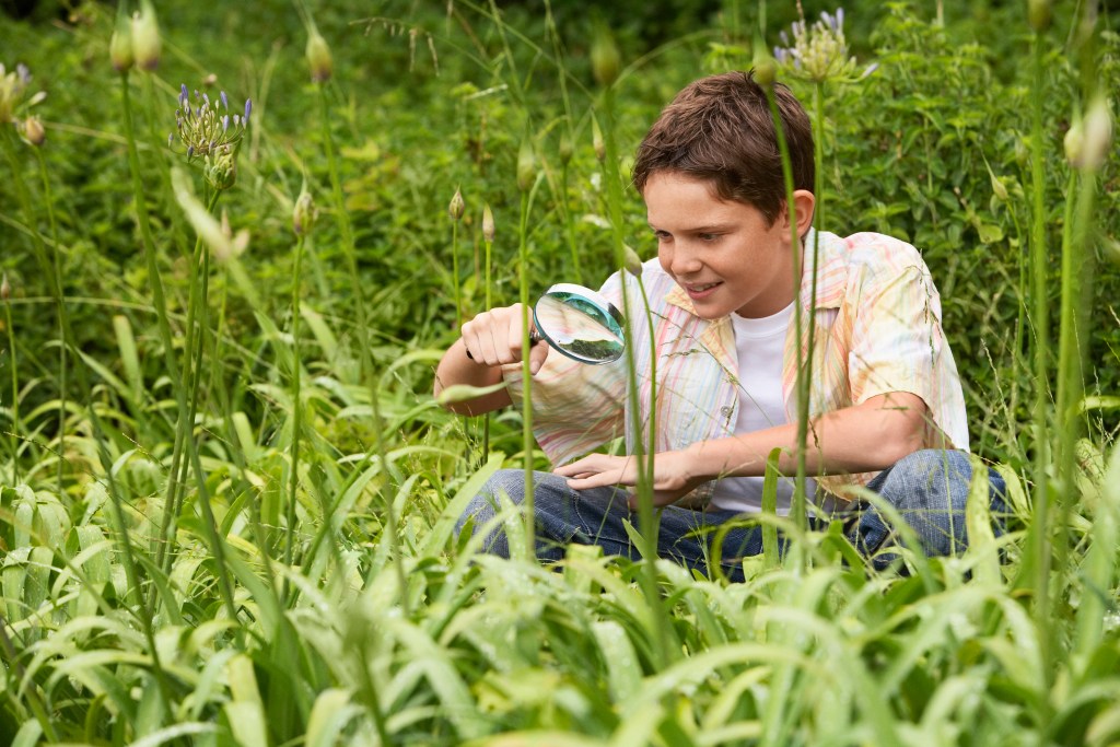 Metropolis Nature Problem: Uncover the Range of Nature in Your Neighborhood