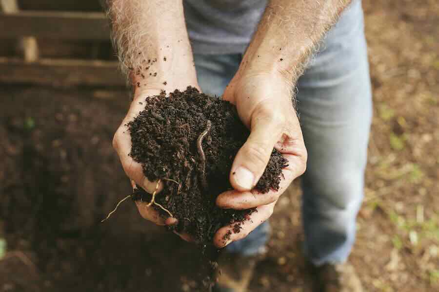 natural vegetable gardening success tales, with joe lamp’l